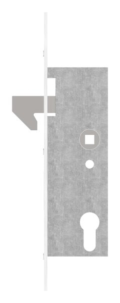 Schiebetorschloss verzinkt Edelstahl Hakenfalle Dornma 40 mm-11-3927.4