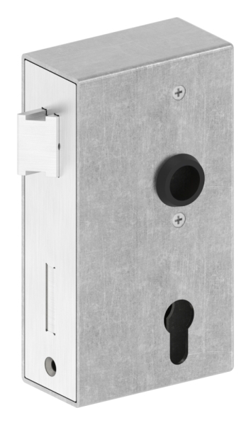 Kastenschloss verzinkt 50x94-5x172 mm geschliffen-30-3204.8