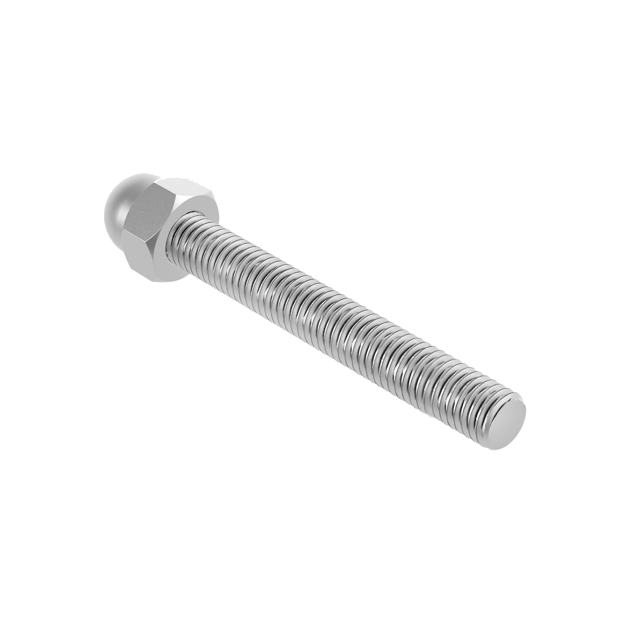 Gewindestange Edelstahl V2A M10 x 100 mm mit Hutmutter-89.ADIN9751587M10X100