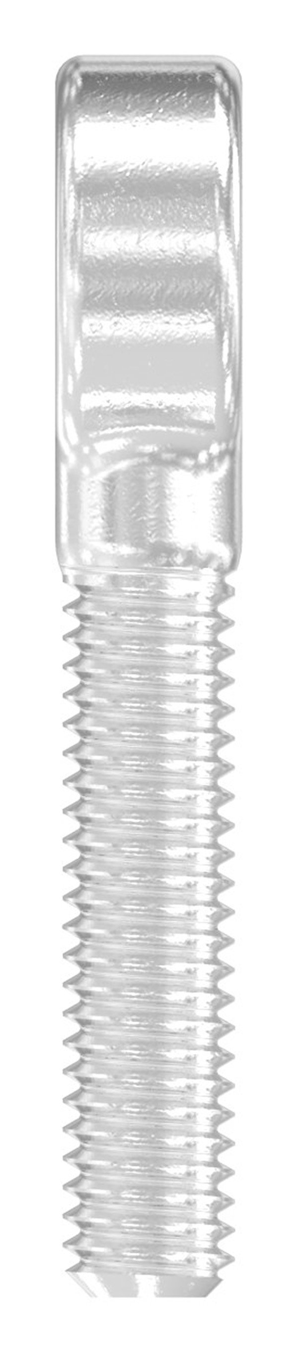 Augenenden Edelstahl V4A M6 Gewindelaenge 25 mm-88.11100051026