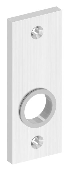 Kurzschild Edelstahl V2A 32x87x6 mm fuer Schlosskaesten-88-1110660.240