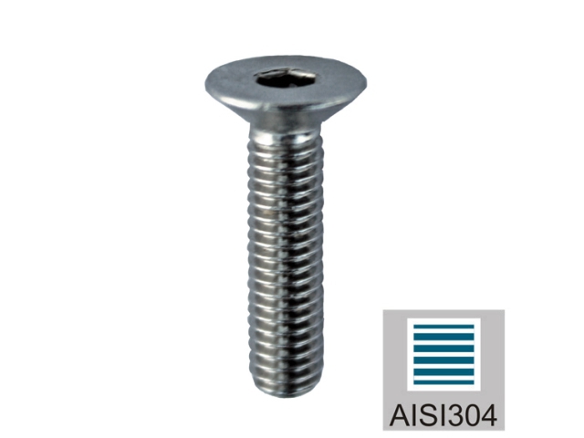 Befestigungsschraube mit Gewinde- M6x8 mm-13-2003-A.4