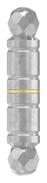 Zierscharnier Edelstahl 24 mm mit Zierkoepfen-88.113811