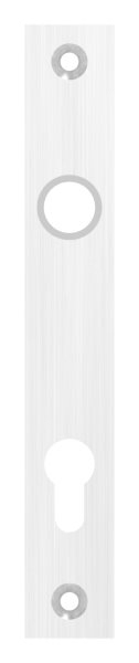 Langschild- Abmessung- 32 x 220 x 6mm- V2A-88-1110691.240