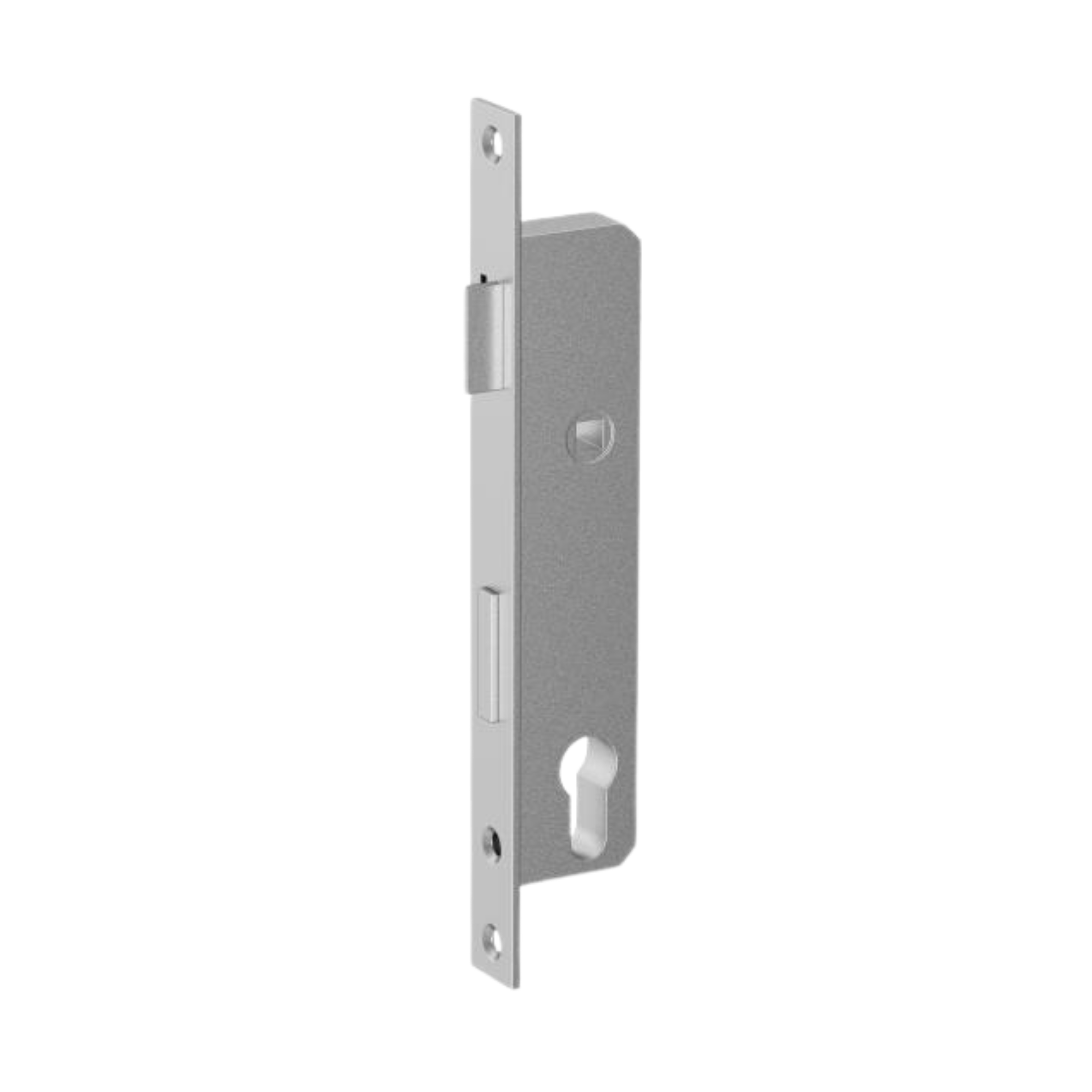 Einsteckschloss Edelstahl A2 - Stahl verzinkt fuer Profil 60x40mm Dornmass 90mm-89-11B83040X90B-A.4